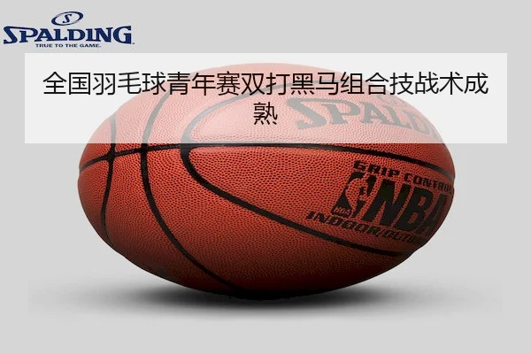 全国羽毛球青年赛双打黑马组合技战术成熟